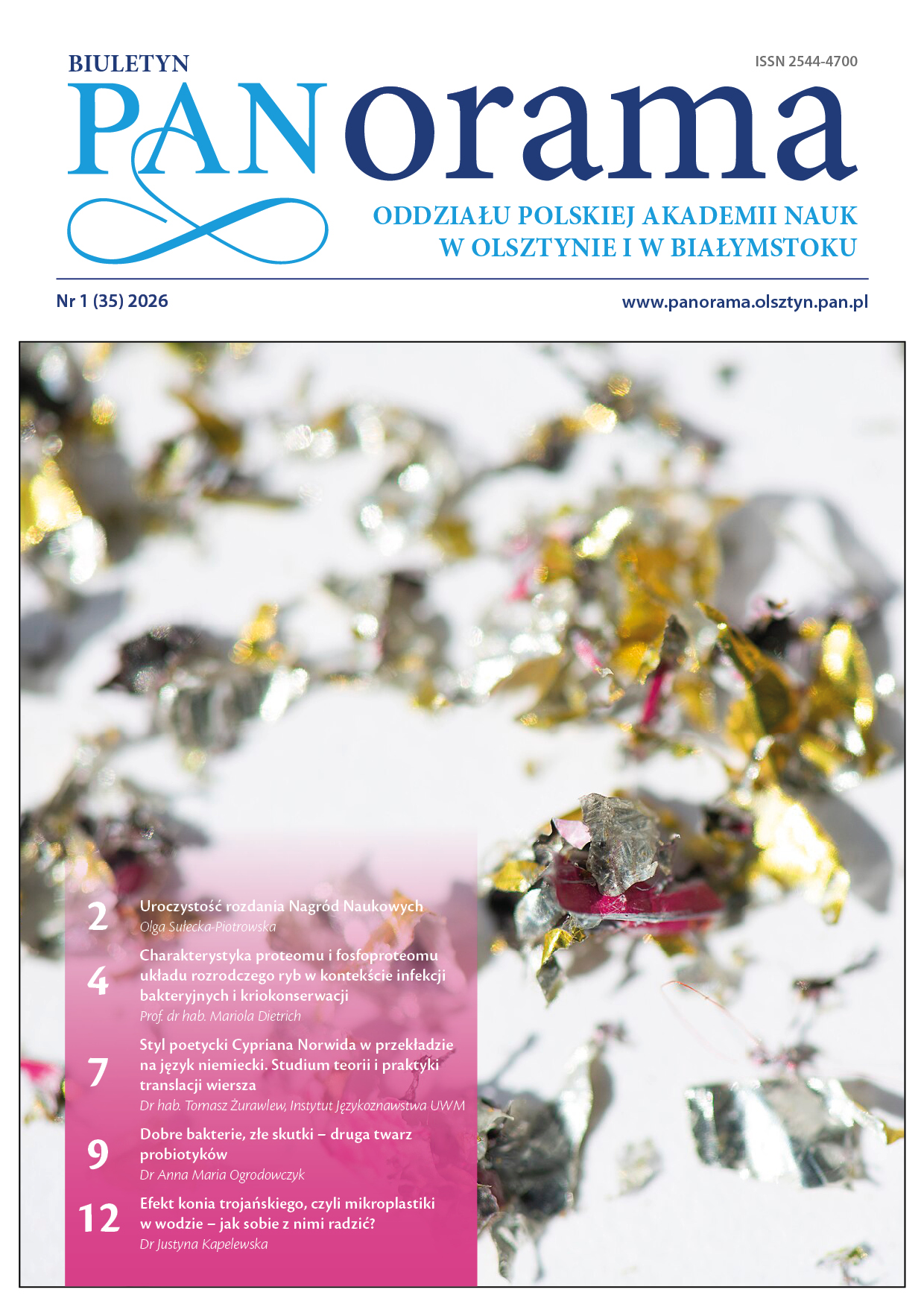 PANorama 35 cover