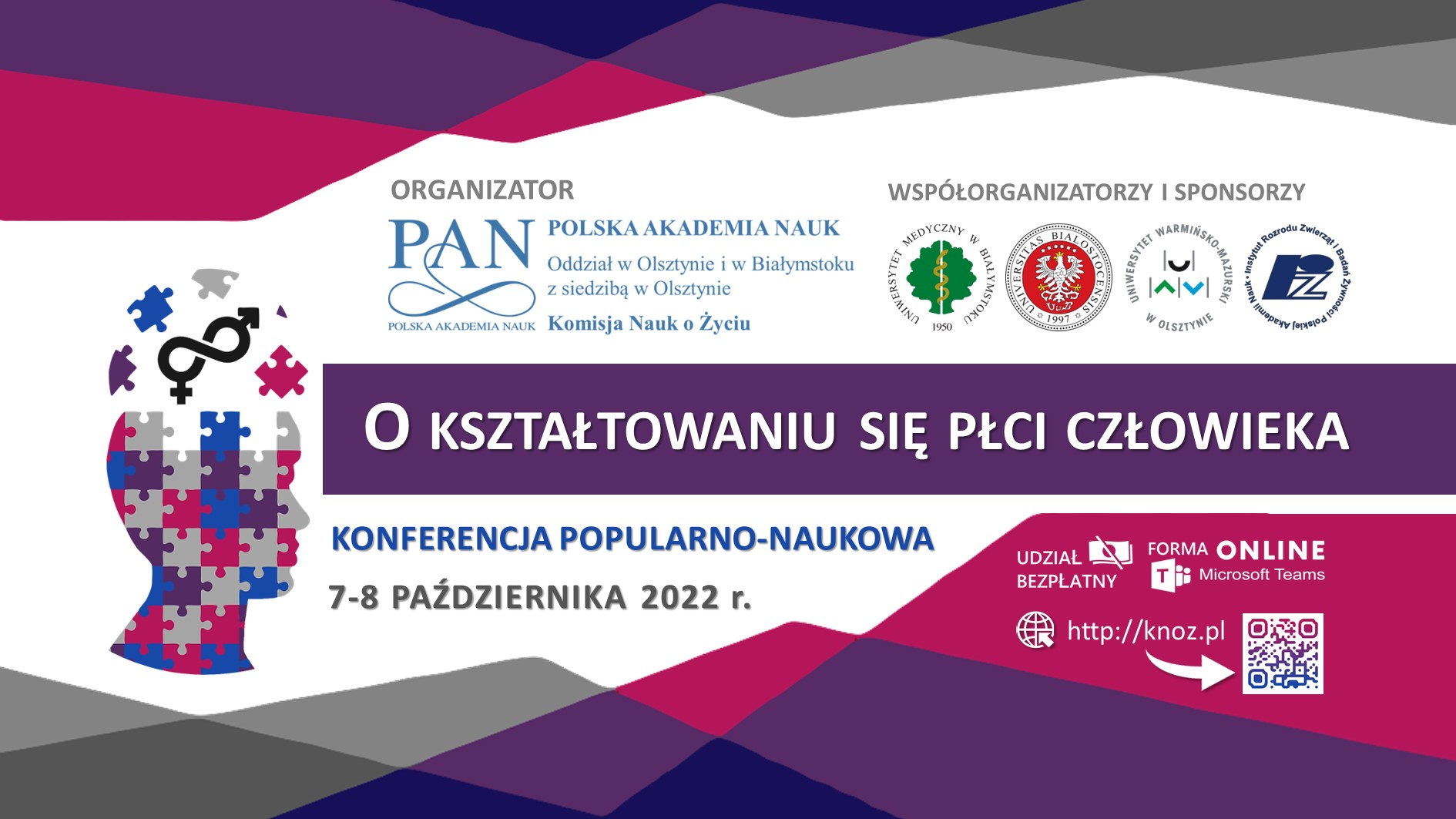 tło PLIK 2